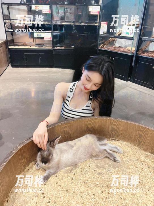 51爆料首页，为何总让我在无聊的时光里找到乐趣？