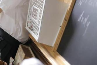惊呆！黑料吃瓜不打烊在线攻略：那些网址背后的秘密你知道吗？